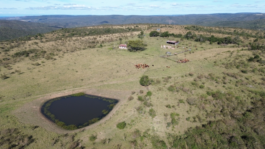 Commercial Property for Sale in Komga Eastern Cape